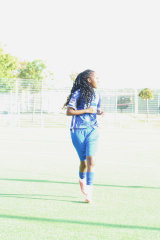 Hegau_10