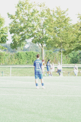 Hegau_11