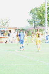 Hegau_17