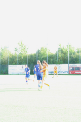 Hegau_20