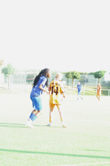 Hegau_7