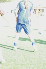 Hegau_8