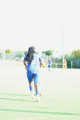 Hegau_9
